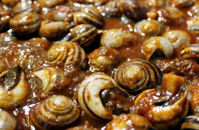 Caracoles de tierra con chorizo y tocino